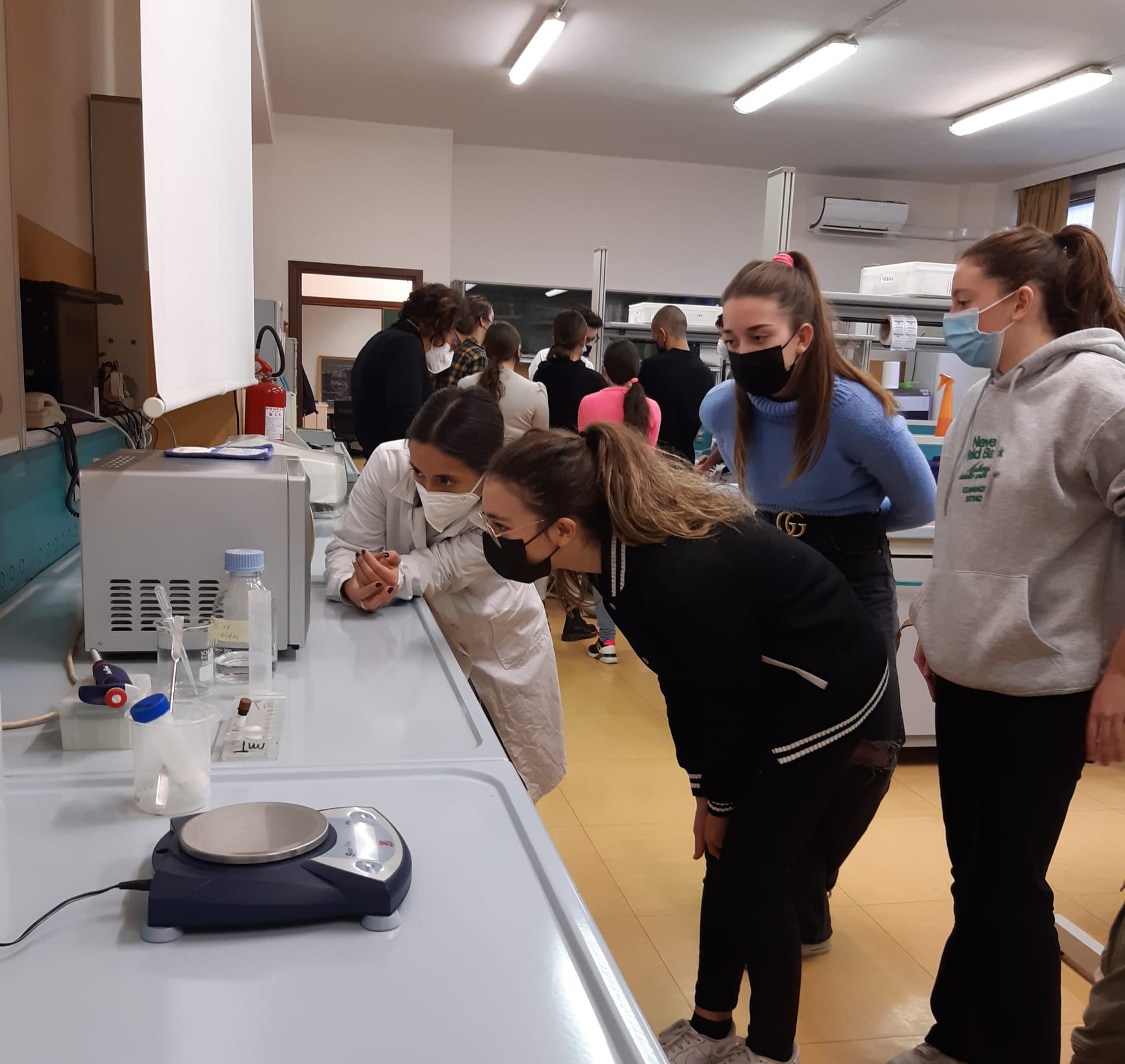 CusMiBio-Liceo-Scientifico-Collegio-Volta-1