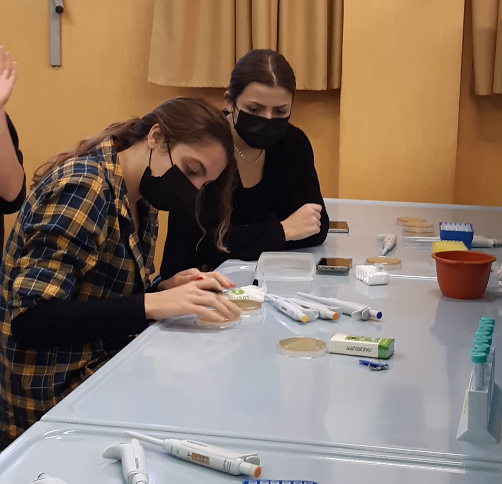 CusMiBio-Liceo-Scientifico-Collegio-Volta-4