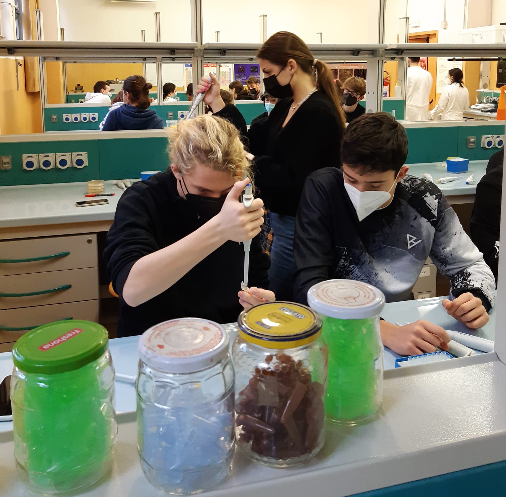 CusMiBio-Liceo-Scientifico-Collegio-Volta-5