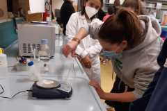 CusMiBio-Liceo-Scientifico-Collegio-Volta-2