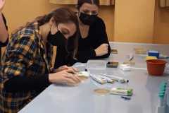 CusMiBio-Liceo-Scientifico-Collegio-Volta-4