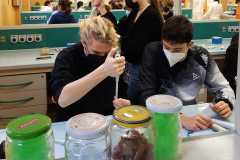 CusMiBio-Liceo-Scientifico-Collegio-Volta-5